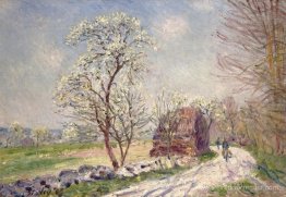 Le long des bois au printemps Le long des bois au printemps