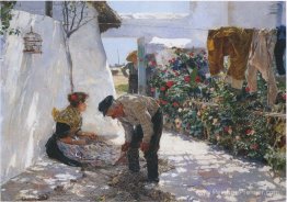 Filets de pêche Filets de pêche