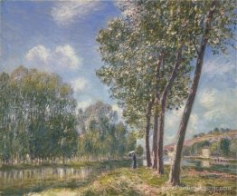 Soleil de printemps sur la lingue Soleil de printemps sur la lingue