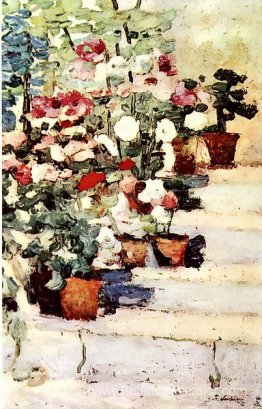Fleurs sur les escaliers Fleurs sur les escaliers