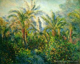 Jardin à Bordighera, impression du matin Jardin à Bordighera, impression du matin