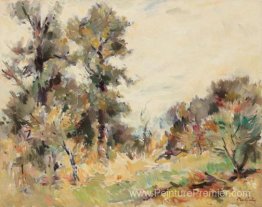 Paysage d'été Paysage d'été