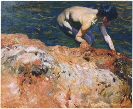 À la recherche de crustacés À la recherche de crustacés
