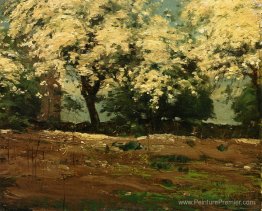 Fleurs Fleurs