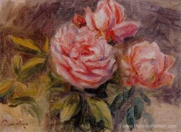 Des roses Des roses
