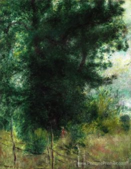 Une clôture dans la forêt Une clôture dans la forêt