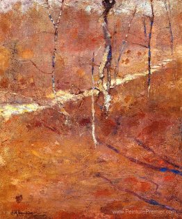 Paysage Paysage