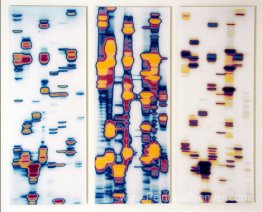 Doug, Joe et Geneviève (du jardin des délices) Doug, Joe et Geneviève (du jardin des délices)