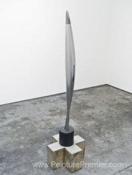 Bird in Space Prototype pour Mach 10 Hypervelocity Test Bird in Space Prototype pour Mach 10 Hypervelocity Test