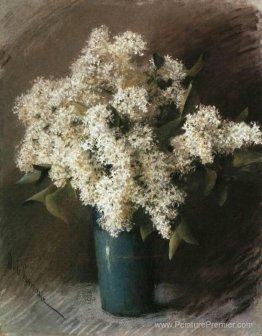 Lilas blanc Lilas blanc