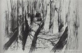 Troncs des arbres Troncs des arbres