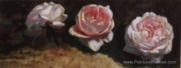 Pivoines Pivoines