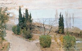 Jardin à Yalta. Cypress. Jardin à Yalta. Cypress.