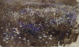 Prairie fleurie Prairie fleurie
