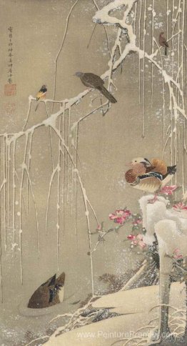 Les canards de saule et de mandarin dans la neige Les canards de saule et de mandarin dans la neige