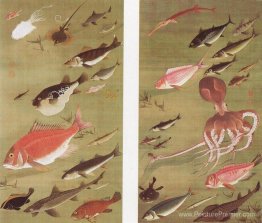 Poulpe et poisson Poulpe et poisson