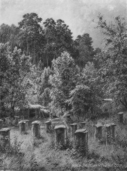 Familles d'abeilles Familles d'abeilles