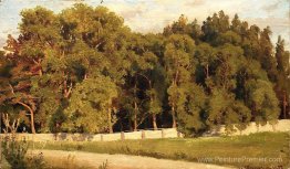 Bois derrière la clôture Bois derrière la clôture