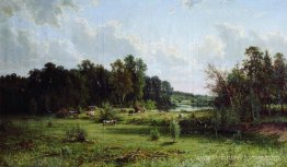 Coppice (midi) Coppice (midi)