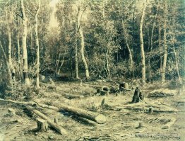 Paysage forestier Paysage forestier