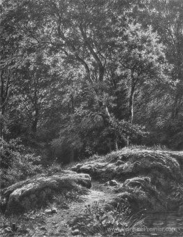 Path dans la forêt Path dans la forêt