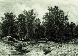 Bord de la forêt Bord de la forêt