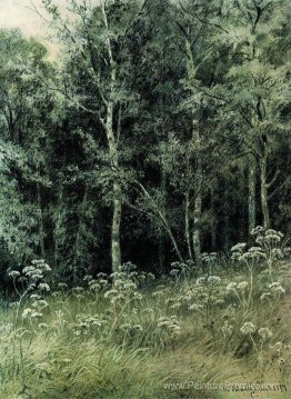 Fleurs dans la forêt Fleurs dans la forêt