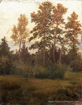 Bord de la forêt Bord de la forêt