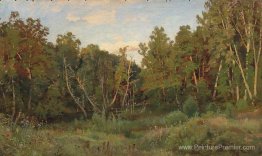 Paysage forestier Paysage forestier