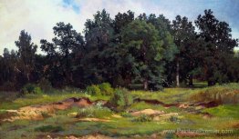 Oak Grove dans une journée grise Oak Grove dans une journée grise