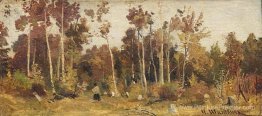 Paysage. Bord d'un bois Paysage. Bord d'un bois