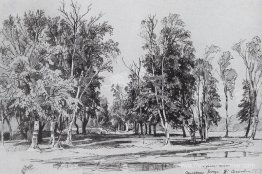 Zelenina boschetto Zelenina boschetto