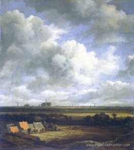 Vue de Haarlem avec des champs de blanchiment au premier plan Vue de Haarlem avec des champs de blanchiment au premier plan