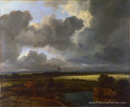Weite landschaft mit zerser Weite landschaft mit zerser