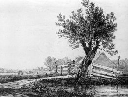 Paysage Paysage
