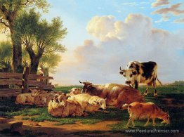 Prairie Prairie
