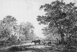 Paysage forestier Paysage forestier