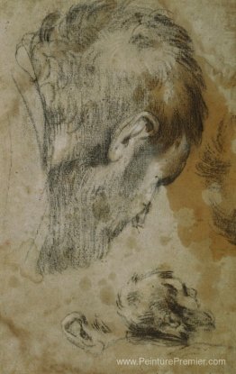 Deux études sur la tête d'un homme barbu Deux études sur la tête d'un homme barbu