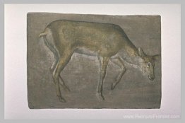 Sket de Deer Doe Sket de Deer Doe