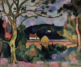 Paysage Paysage