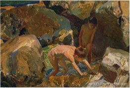 À la recherche de crustacés À la recherche de crustacés