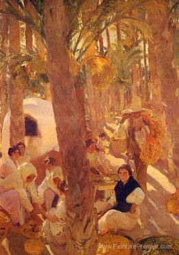 L'Elche Palm Grove L'Elche Palm Grove