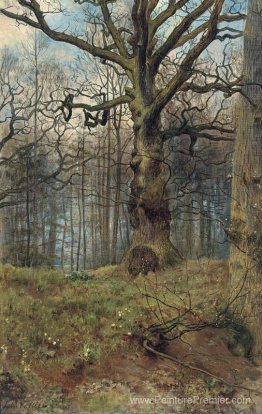 Le bois de printemps Le bois de printemps