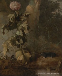 Un pavot égyptien et une taupe à eau Un pavot égyptien et une taupe à eau