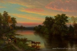 Coucher de soleil avec des vaches Coucher de soleil avec des vaches