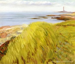 Dunes herbeuses, Gloucester Dunes herbeuses, Gloucester