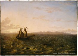 L'île de Madère L'île de Madère