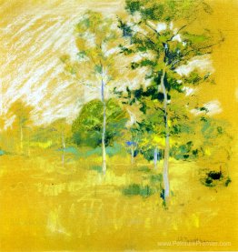 Paysage Paysage