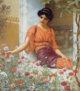 Fleurs d'été Fleurs d'été