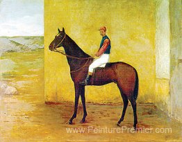 Jockey et cheval Jockey et cheval